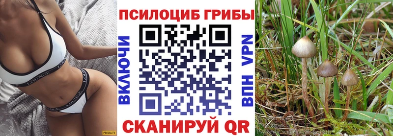 Купить  Самара  Галлюциногенные грибы ЛСД 